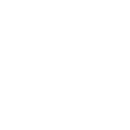 Alinta Energy